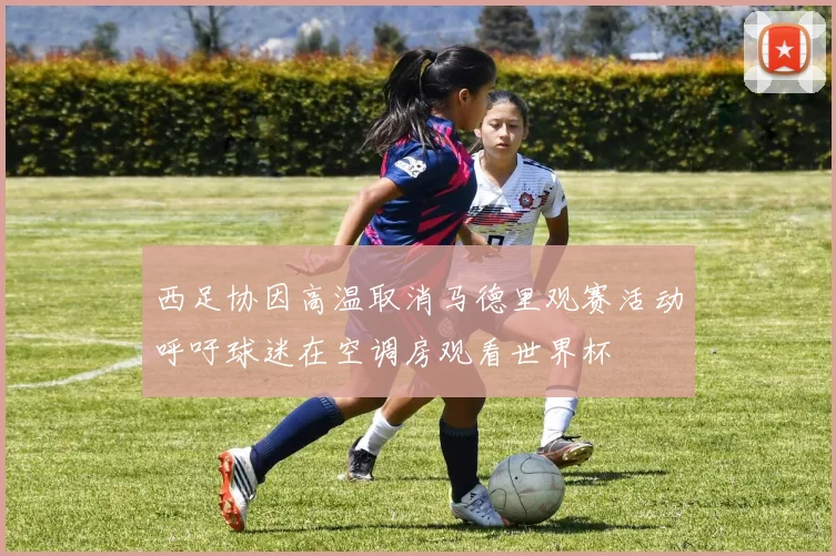 西足协因高温取消马德里观赛活动呼吁球迷在空调房观看世界杯